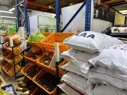 Aspri-d Wall Papan (D22), Retail #562244001